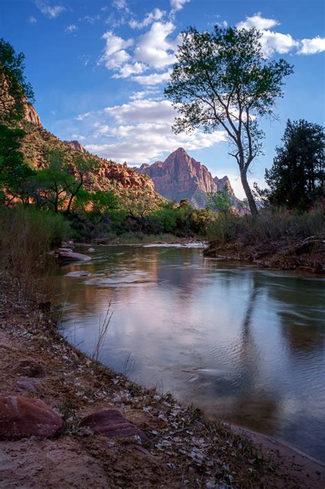 The Watchman Trail is a moderate out-and-back hike accessed from the Zion Canyon Visitor Center. To reach the trailhead, follow the sidewalk through the Visitor Center plaza and past the shuttle stop to the crosswalk. Stay along the river to begin the trail. From the relatively flat beginning section of trail by the river, this unpaved trail ...